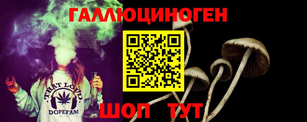 Псилоцибиновые грибы прущие грибы Гурьевск