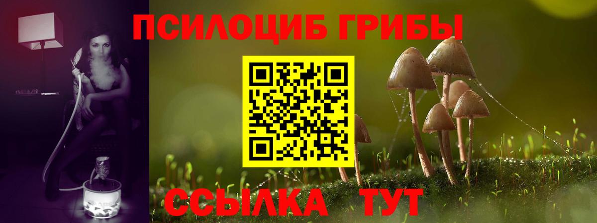 Галлюциногенные грибы мухоморы  Вход с VPN  Гурьевск 